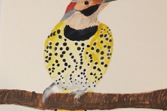 4_Yellowhammer_NorthernFlicker)-Alabama