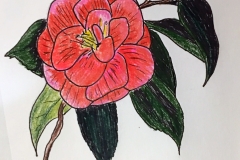 10_Camellia-AL