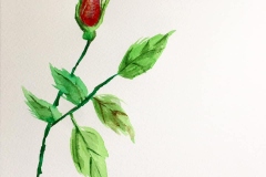 12-Blossoming