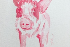25-ShadesOfPink
