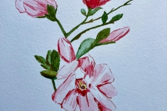 World Watercolor Month 20
