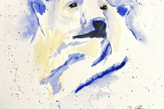 PolarBear