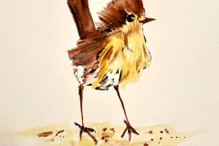 World Watercolor Month 2022
