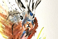 RunningRabbit